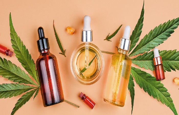 Top 8 CBD Industry Niches: Best CBD Business Ideas