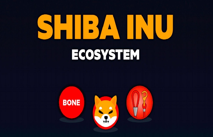 shiba inu 