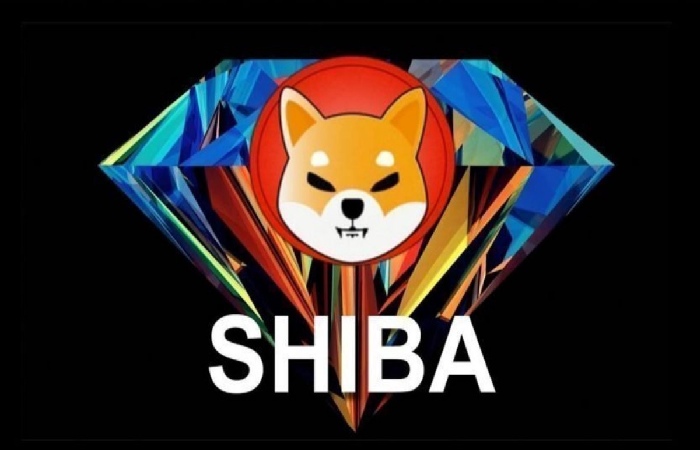 shiba inu 