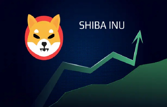 shiba inu