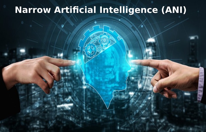 Narrow Artificial Intelligence (ANI)