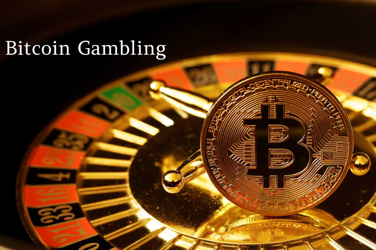 Everything About Bitcoin Gambling and Deposits and Withdrawals