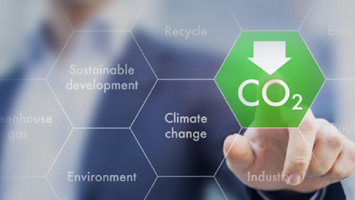 Why Carbon Calculation Is Important For Your Company CSR?