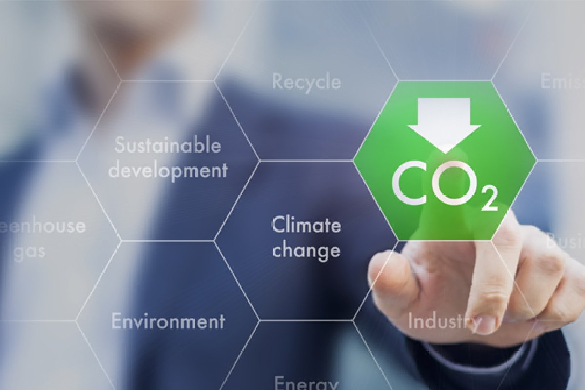 Why Carbon Calculation Is Important For Your Company CSR?