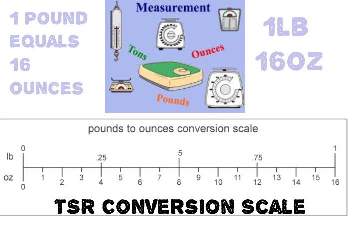 How many ounces in a pound