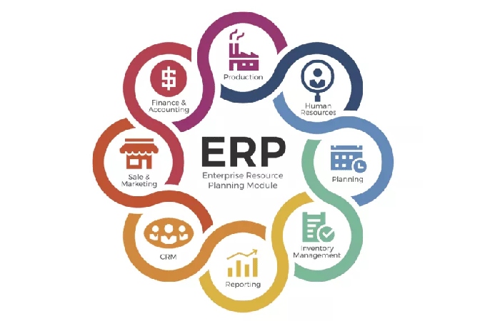 How does an ERP work?