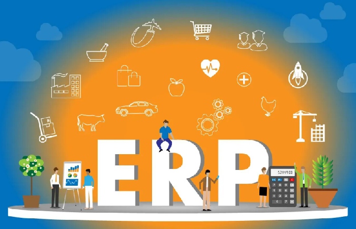 What is an ERP?