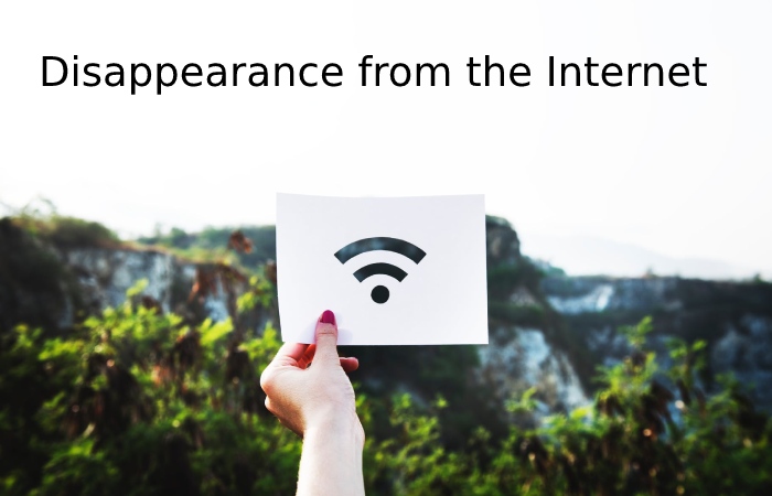 Disappearance from the Internet
