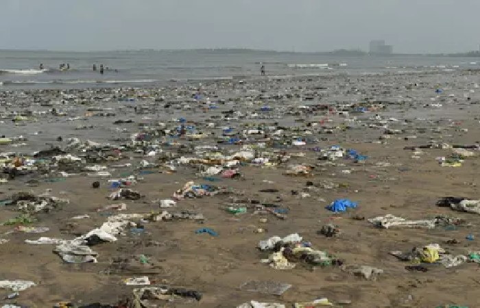 PM Modi: India will be happy to join hands with France to launch single-use plastics