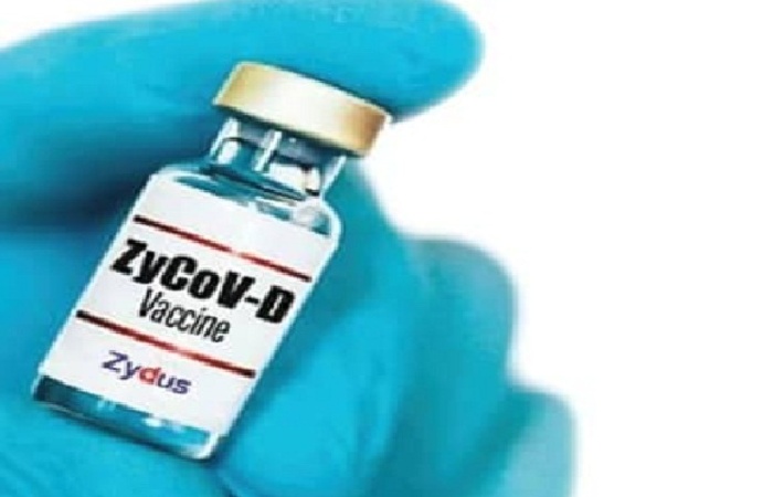 rajkotupdates.news : zydus needle free corona vaccine zycov d