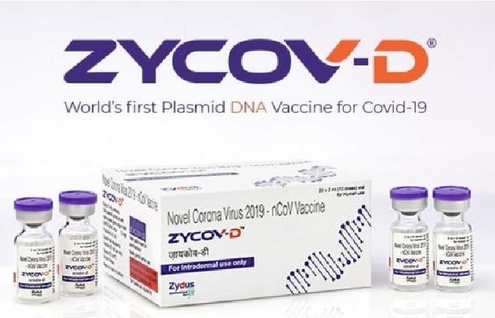 rajkotupdates.news : zydus needle free corona vaccine zycov d