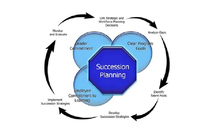 Who is involved in the development and implementation of a succession plan?