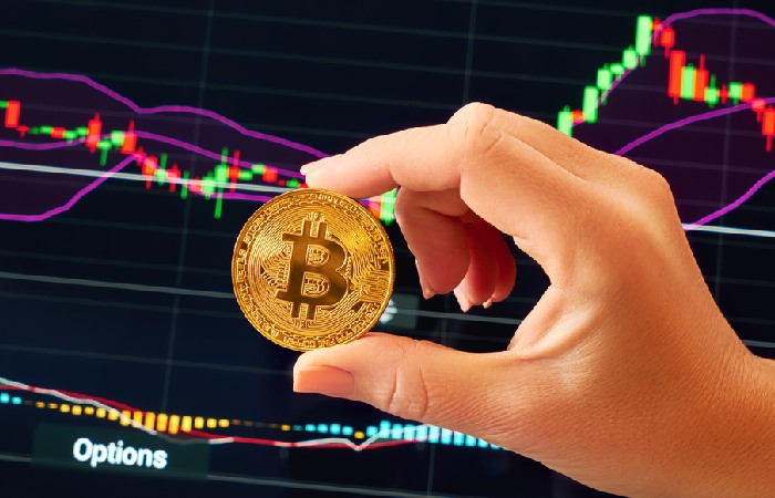 What is BitCoin Trader?