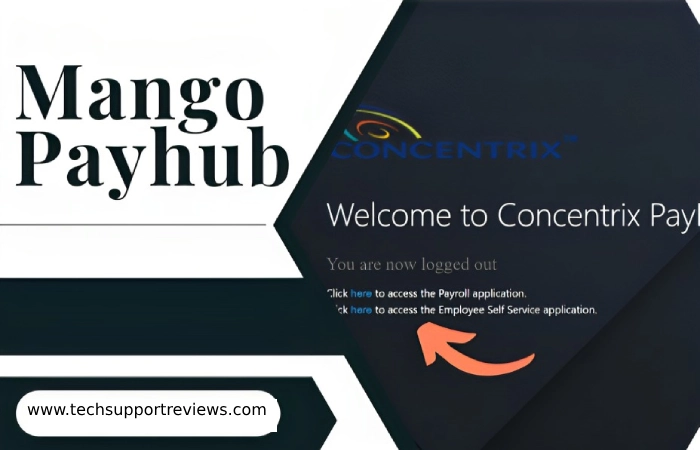 Benefits of Using Mango Payhub