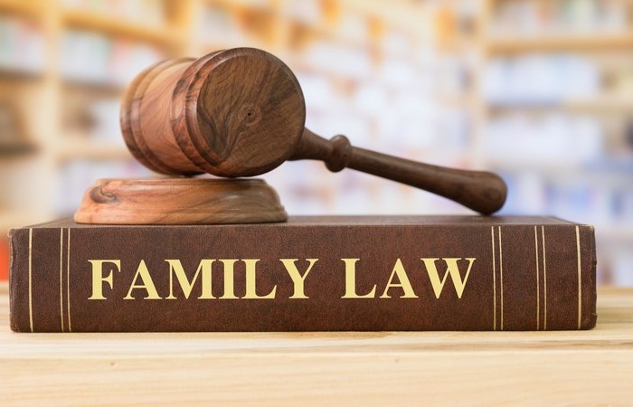 The Complexity of Family Law Cases