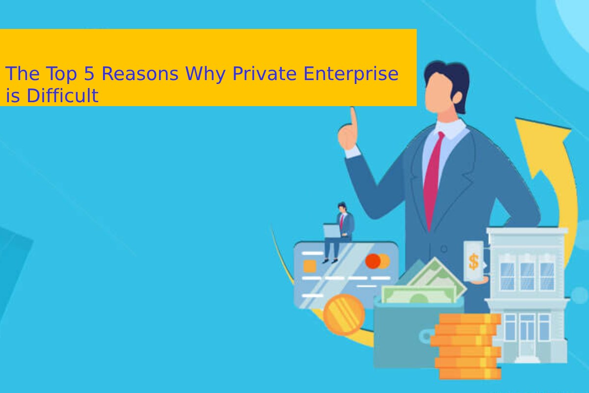 The Top 5 Reasons Why Private Enterprise is Difficult